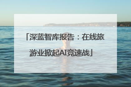 深蓝智库报告：在线旅游业掀起AI竞速战