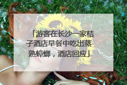游客在长沙一家桔子酒店早餐中吃出蒸熟蟑螂，酒店回应