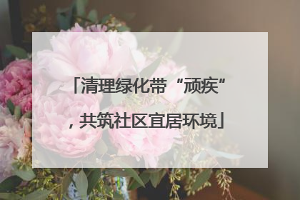 清理绿化带“顽疾”，共筑社区宜居环境