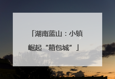 湖南蓝山：小镇崛起“箱包城”