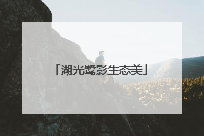 湖光鹭影生态美
