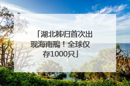 湖北秭归首次出现海南鳽！全球仅存1000只