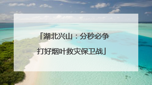 湖北兴山：分秒必争 打好烟叶救灾保卫战