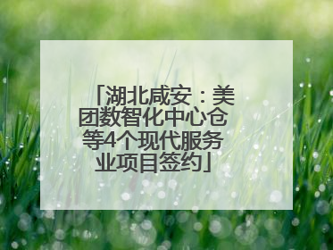 湖北咸安：美团数智化中心仓等4个现代服务业项目签约