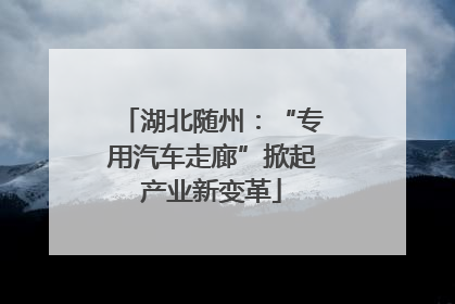 湖北随州：“专用汽车走廊”掀起产业新变革