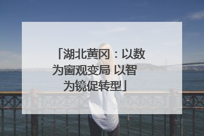 湖北黄冈：以数为窗观变局 以智为镜促转型