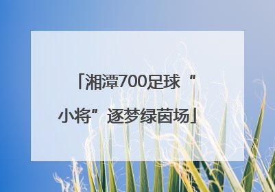 湘潭700足球“小将”逐梦绿茵场