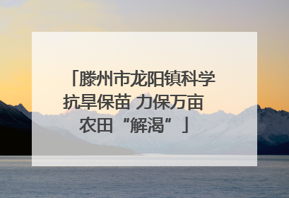 滕州市龙阳镇科学抗旱保苗 力保万亩农田“解渴”