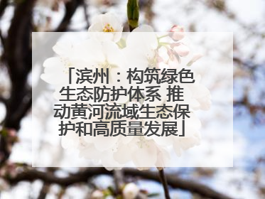 滨州：构筑绿色生态防护体系 推动黄河流域生态保护和高质量发展