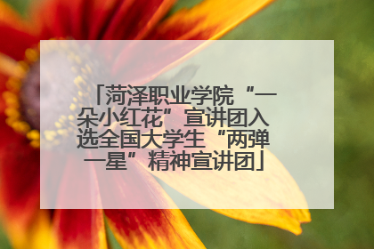 菏泽职业学院“一朵小红花”宣讲团入选全国大学生“两弹一星”精神宣讲团