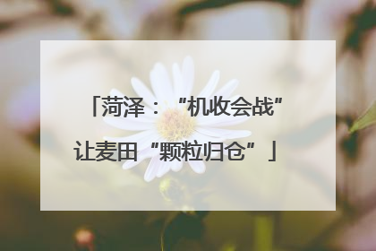 菏泽：“机收会战”让麦田“颗粒归仓”