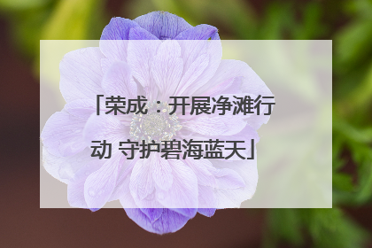 荣成：开展净滩行动 守护碧海蓝天