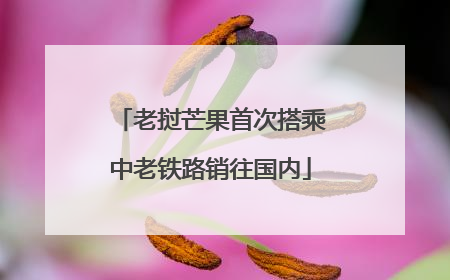 老挝芒果首次搭乘中老铁路销往国内