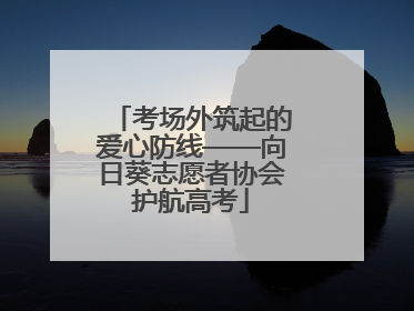 考场外筑起的爱心防线——向日葵志愿者协会护航高考