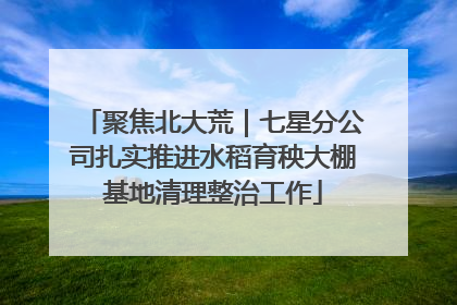 聚焦北大荒｜七星分公司扎实推进水稻育秧大棚基地清理整治工作