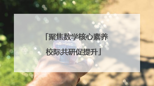 聚焦数学核心素养 校际共研促提升