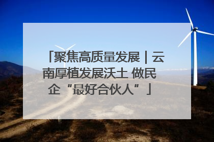 聚焦高质量发展｜云南厚植发展沃土 做民企“最好合伙人”