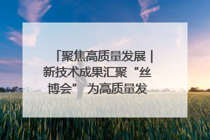 聚焦高质量发展｜新技术成果汇聚“丝博会” 为高质量发展注入新动能