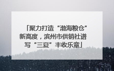 聚力打造“渤海粮仓”新高度，滨州市供销社谱写“三夏”丰收乐章