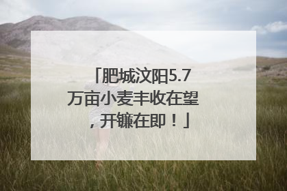 肥城汶阳5.7万亩小麦丰收在望，开镰在即！