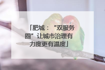 肥城：“双服务圈”让城市治理有力度更有温度