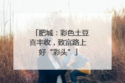 肥城：彩色土豆喜丰收，致富路上好“彩头”