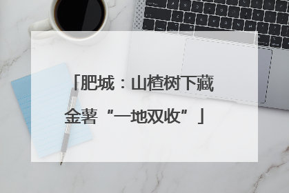 肥城：山楂树下藏金薯“一地双收”