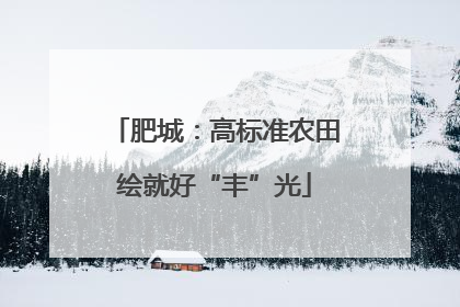 肥城：高标准农田绘就好“丰”光