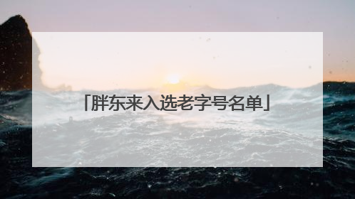 胖东来入选老字号名单