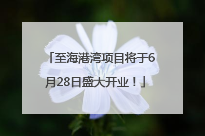 至海港湾项目将于6月28日盛大开业！