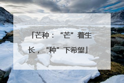 芒种：“芒”着生长，“种”下希望