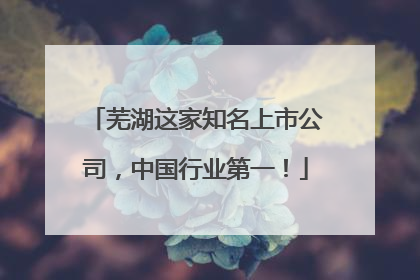 芜湖这家知名上市公司，中国行业第一！