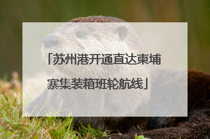 苏州港开通直达柬埔寨集装箱班轮航线