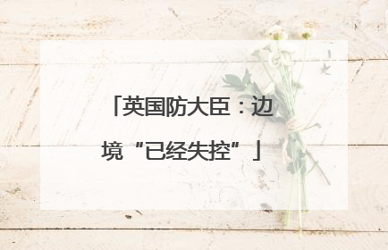 英国防大臣：边境“已经失控”