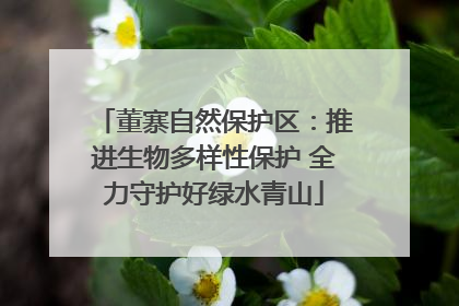 董寨自然保护区：推进生物多样性保护 全力守护好绿水青山