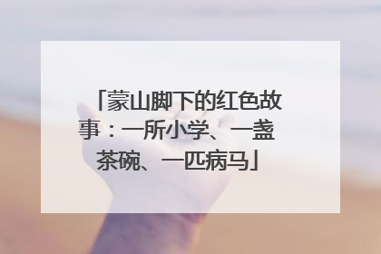 蒙山脚下的红色故事：一所小学、一盏茶碗、一匹病马