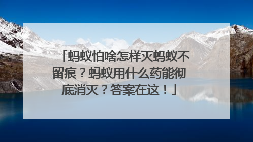 蚂蚁怕啥怎样灭蚂蚁不留痕？蚂蚁用什么药能彻底消灭？答案在这！