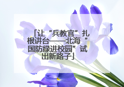 让“兵教官”扎根讲台——北海“国防绿进校园”试出新路子