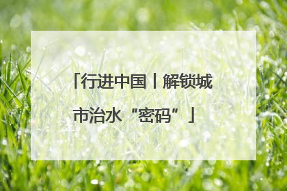 行进中国丨解锁城市治水“密码”