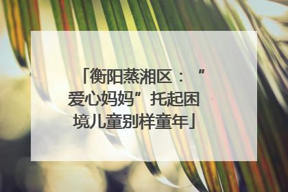 衡阳蒸湘区：“爱心妈妈”托起困境儿童别样童年