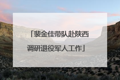 裴金佳带队赴陕西调研退役军人工作