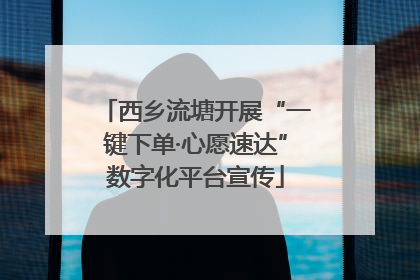 西乡流塘开展“一键下单·心愿速达”数字化平台宣传
