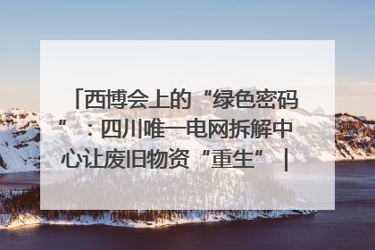 西博会上的“绿色密码”：四川唯一电网拆解中心让废旧物资“重生”｜西博寻“新”记