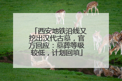 西安地铁沿线又挖出汉代古墓，官方回应：墓葬等级较低，计划回填