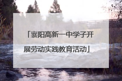 襄阳高新一中学子开展劳动实践教育活动