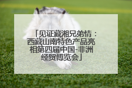 见证藏湘兄弟情：西藏山南特色产品亮相第四届中国-非洲经贸博览会