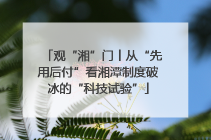 观“湘”门丨从“先用后付”看湘潭制度破冰的“科技试验”
