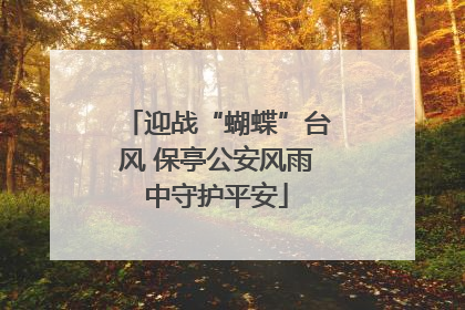 迎战“蝴蝶”台风 保亭公安风雨中守护平安