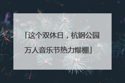 这个双休日，杭钢公园万人音乐节热力爆棚