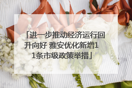 进一步推动经济运行回升向好 雅安优化新增11条市级政策举措